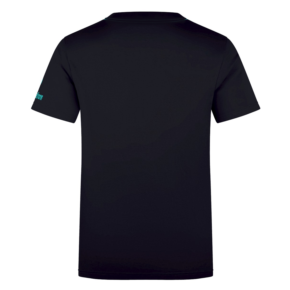 Back view of a plain black short-sleeve cotton t-shirt with blue lettering on the right sleeve. This Ireland Team Cotton T-Shirt 24 by Canterbury is a perfect blend of style and comfort.