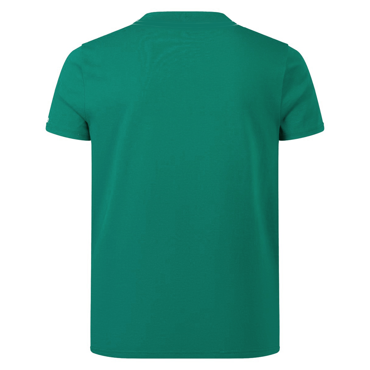 Back view of a green Youth Ireland 24 Team Cotton T-Shirt by Canterbury, made from organic cotton, on a white background, highlighting its simplicity and charm.