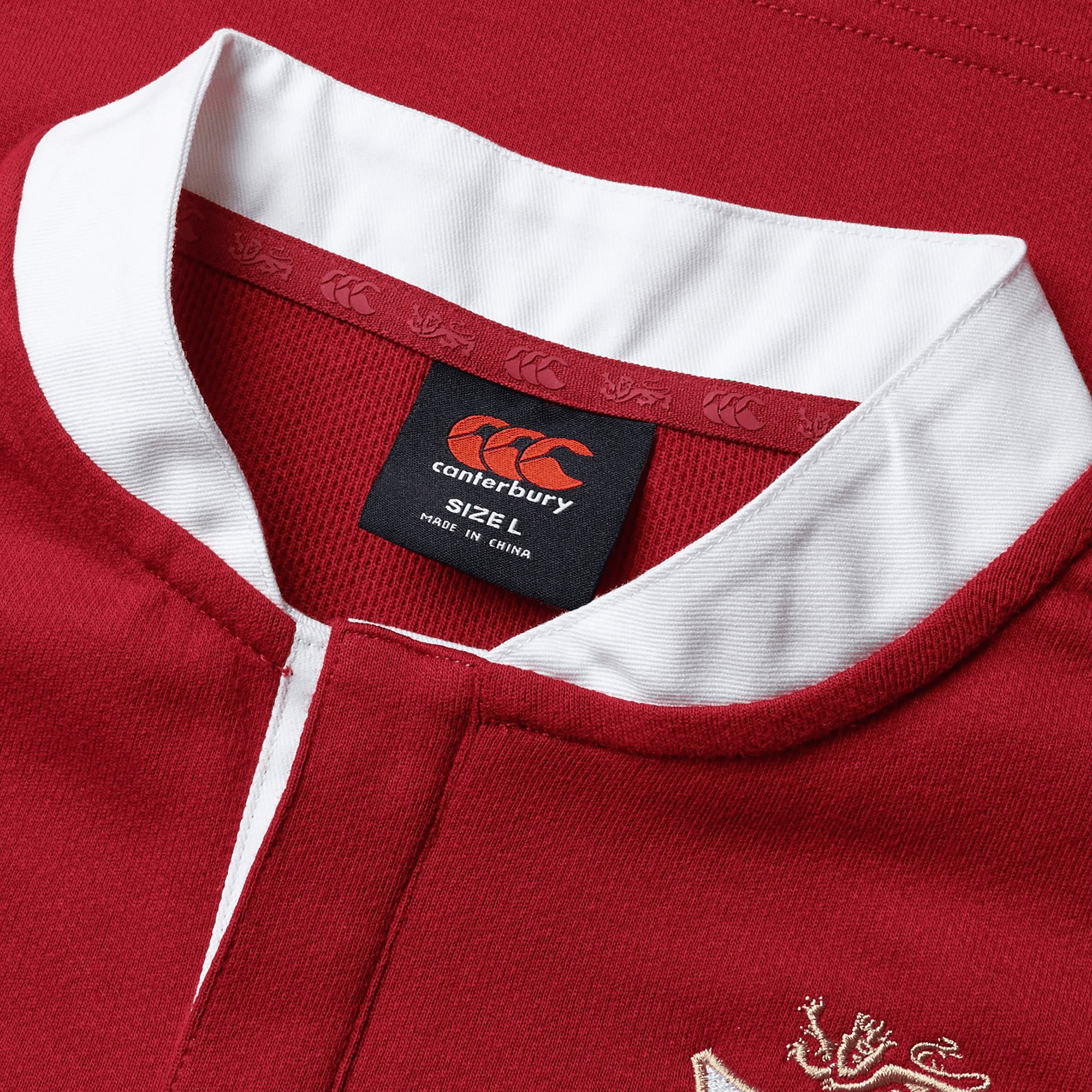 Canterbury British and Irish Lions 2025 Shirt Juniors | Sports World Canterbury British and Irish Lions 2025 Shirt Juniors | Sports World