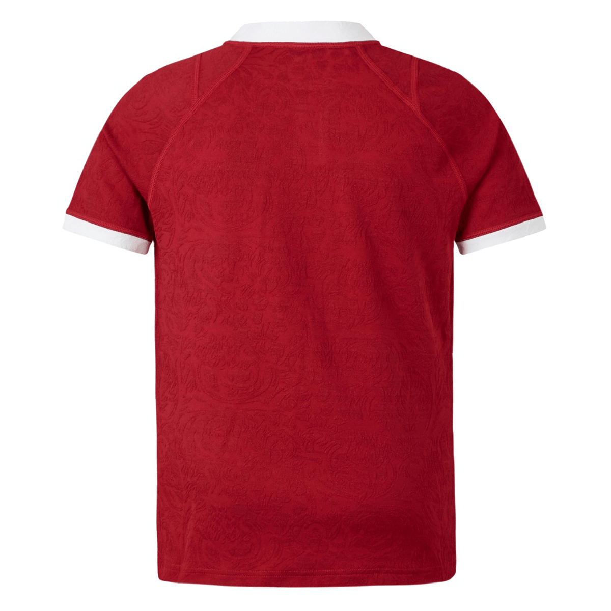 Back view of the Youth British &amp; Irish Lions 2025 Players Jersey by Canterbury, featuring a red design with a white collar and sleeve trim. The subtle abstract pattern and ergonomic paneling enhance both comfort and style.