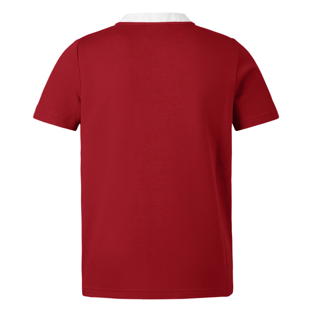 The Youth British &amp; Irish Lions 2025 Classic Jersey by Canterbury is a classic red polo shirt with short sleeves and a white collar, viewed from the back.