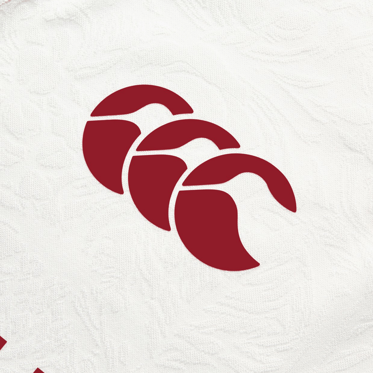 The dynamic energy of the British &amp; Irish Lions 2025 Training Jersey by Canterbury is captured through three red abstract bird shapes on a textured white background.