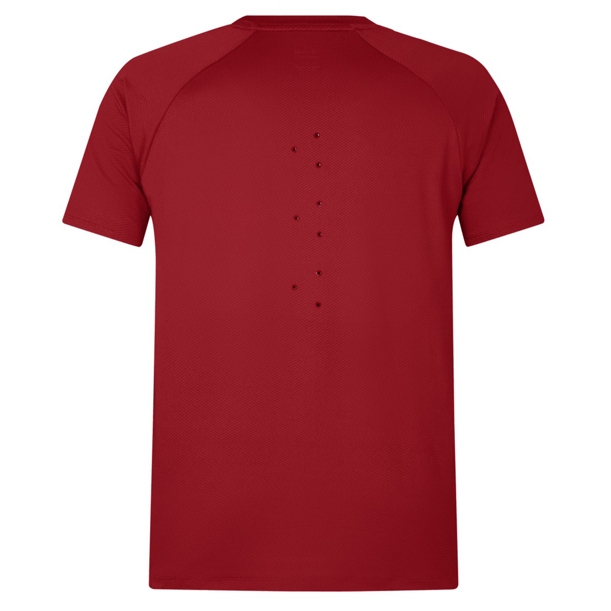 The British &amp; Irish Lions 25 Everest Tee by Canterbury boasts a red athletic design with small ventilation holes on the back, making it ideal for staying cool during workouts or cheering on the British &amp; Irish Lions.
