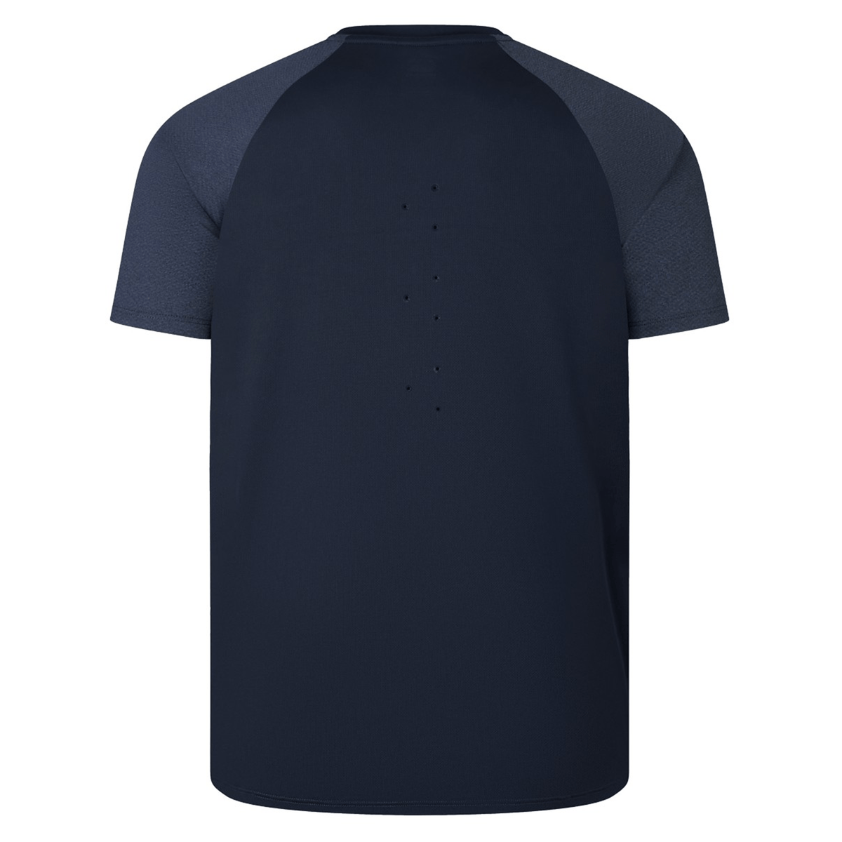 Back view of the British &amp; Irish Lions 25 Everest Tee by Canterbury in dark navy with lighter sleeves, featuring small ventilation holes at the center for optimal breathability.