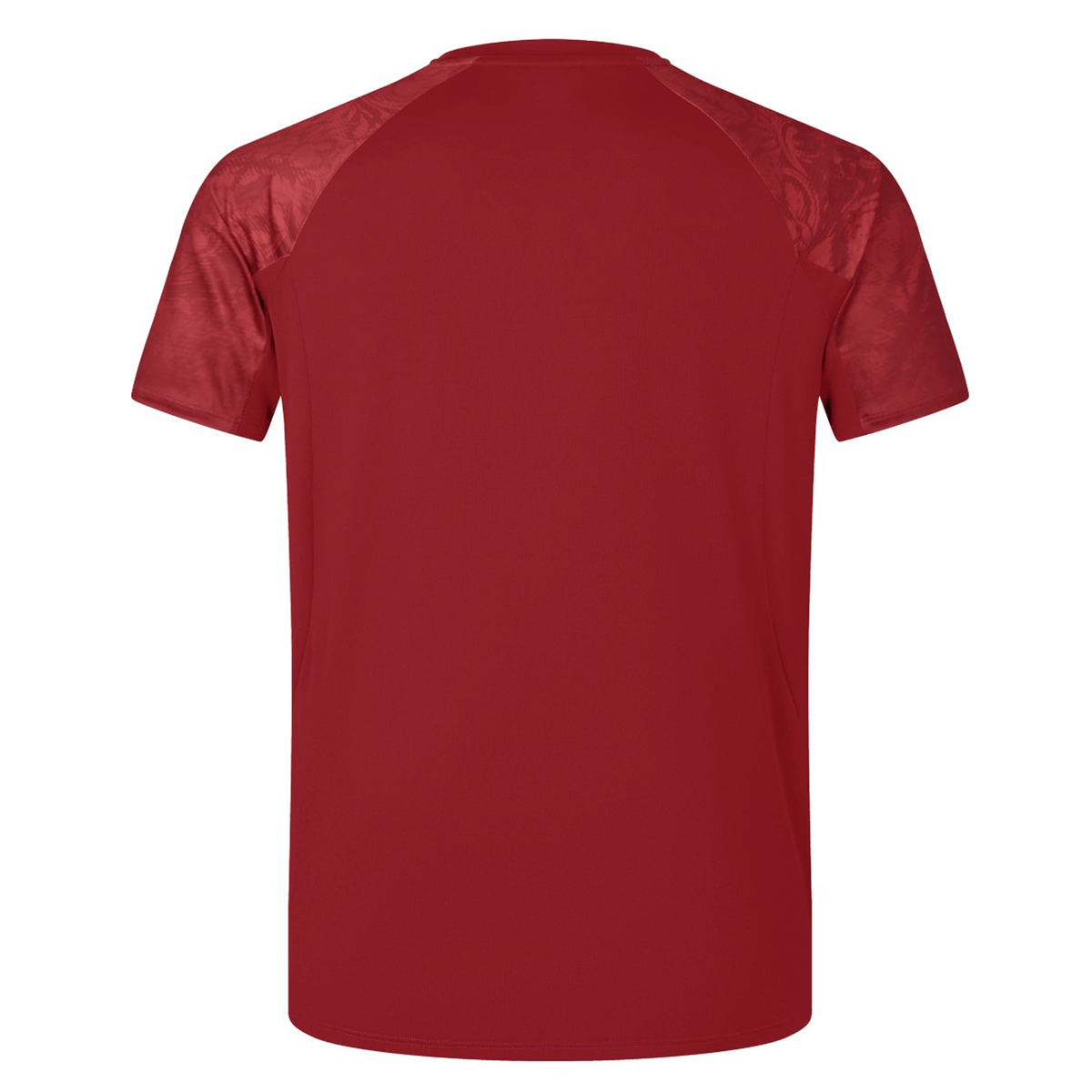 A British &amp; Irish Lions 25 Superlight Training Tee by Canterbury, featuring a red short-sleeved design with darker red shoulders, shown from the back.