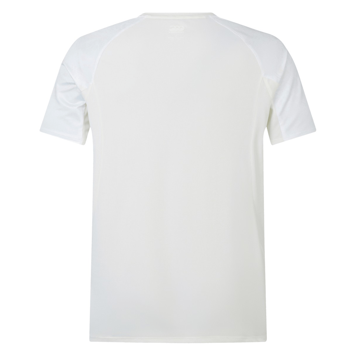 Back view of the British &amp; Irish Lions 25 Superlight Training Tee by Canterbury, featuring plain white short-sleeved raglan sleeves.