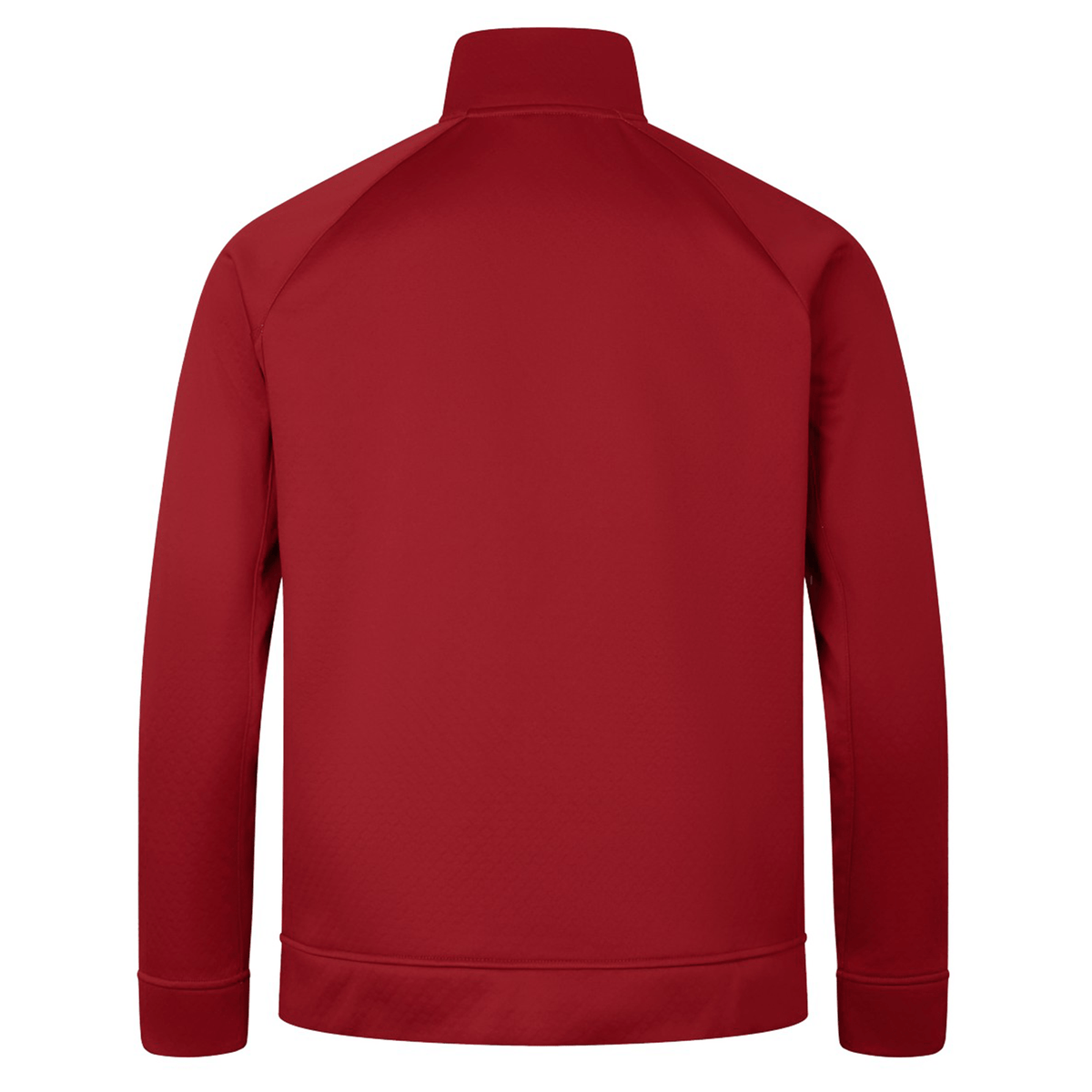 Back view of the British &amp; Irish Lions 2025 1/4 Zip Fleece by Canterbury, featuring a plain red design with a high collar and full sleeves, displayed against a white background.