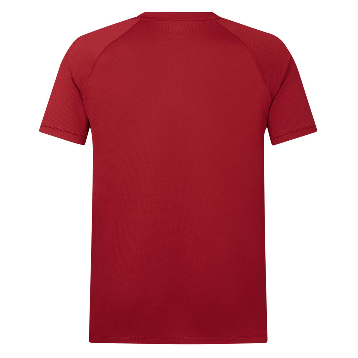 A plain red short-sleeve t-shirt, reminiscent of the classic British &amp; Irish Lions 25 Poly Polo by Canterbury, viewed from the back.