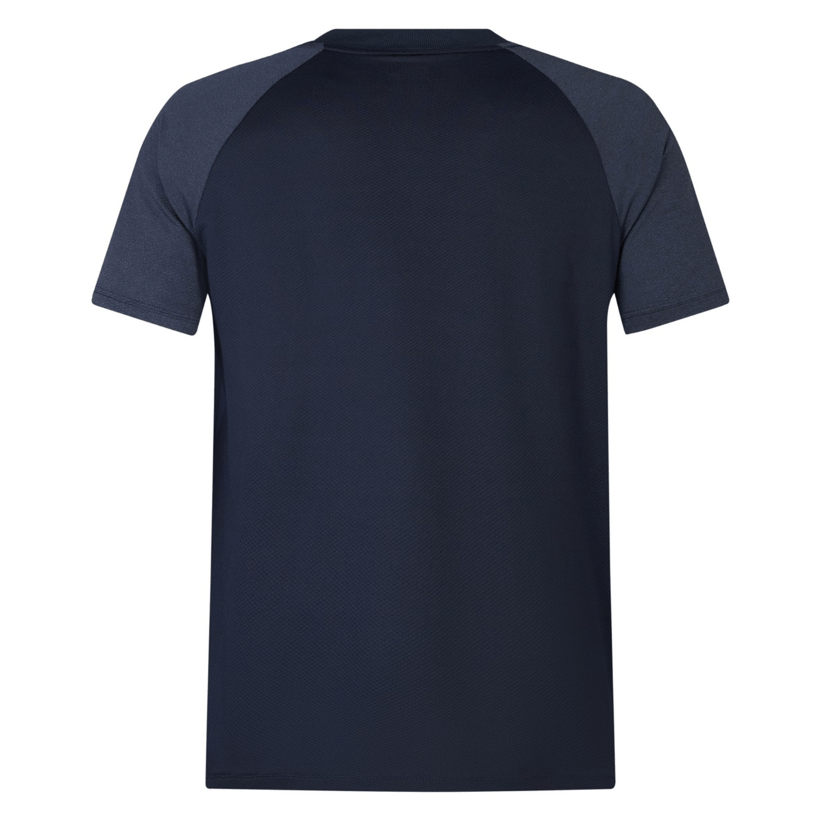 Back view of the British &amp; Irish Lions 25 Poly Polo by Canterbury, featuring a navy blue design with dark sleeves, crafted from quick-drying, breathable fabric.