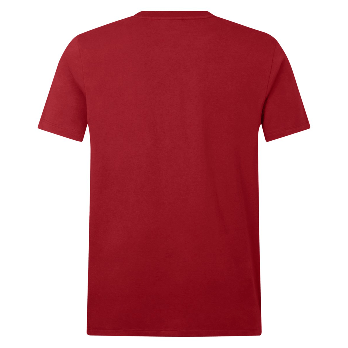 A plain red T-shirt, crafted from organic cotton, viewed from the back with short sleeves and a crew neck is described as the "British &amp; Irish Lions 2025 Cotton Jersey Tee by Canterbury.