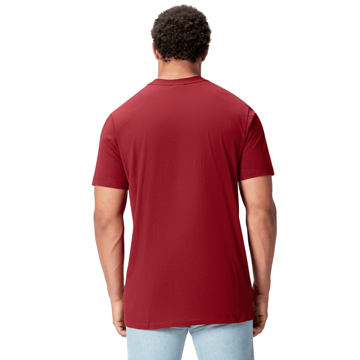 A rugby supporter wears the British &amp; Irish Lions 2025 Cotton Jersey Tee by Canterbury, paired with light blue jeans, captured from the back.