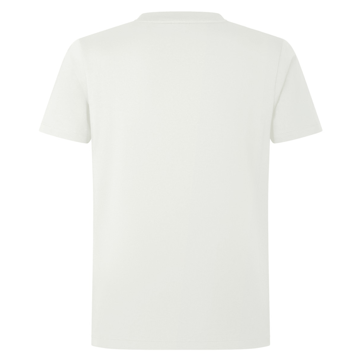 A British &amp; Irish Lions 2025 Cotton Jersey Tee by Canterbury, showcased from the back against a white background.