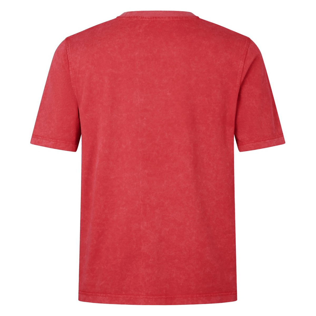The British &amp; Irish Lions 25 Heritage Tee by Canterbury is an eye-catching red, short-sleeve T-shirt, displayed from the back. Drawing inspiration from the British &amp; Irish Lions, it seamlessly combines timeless style with contemporary comfort.