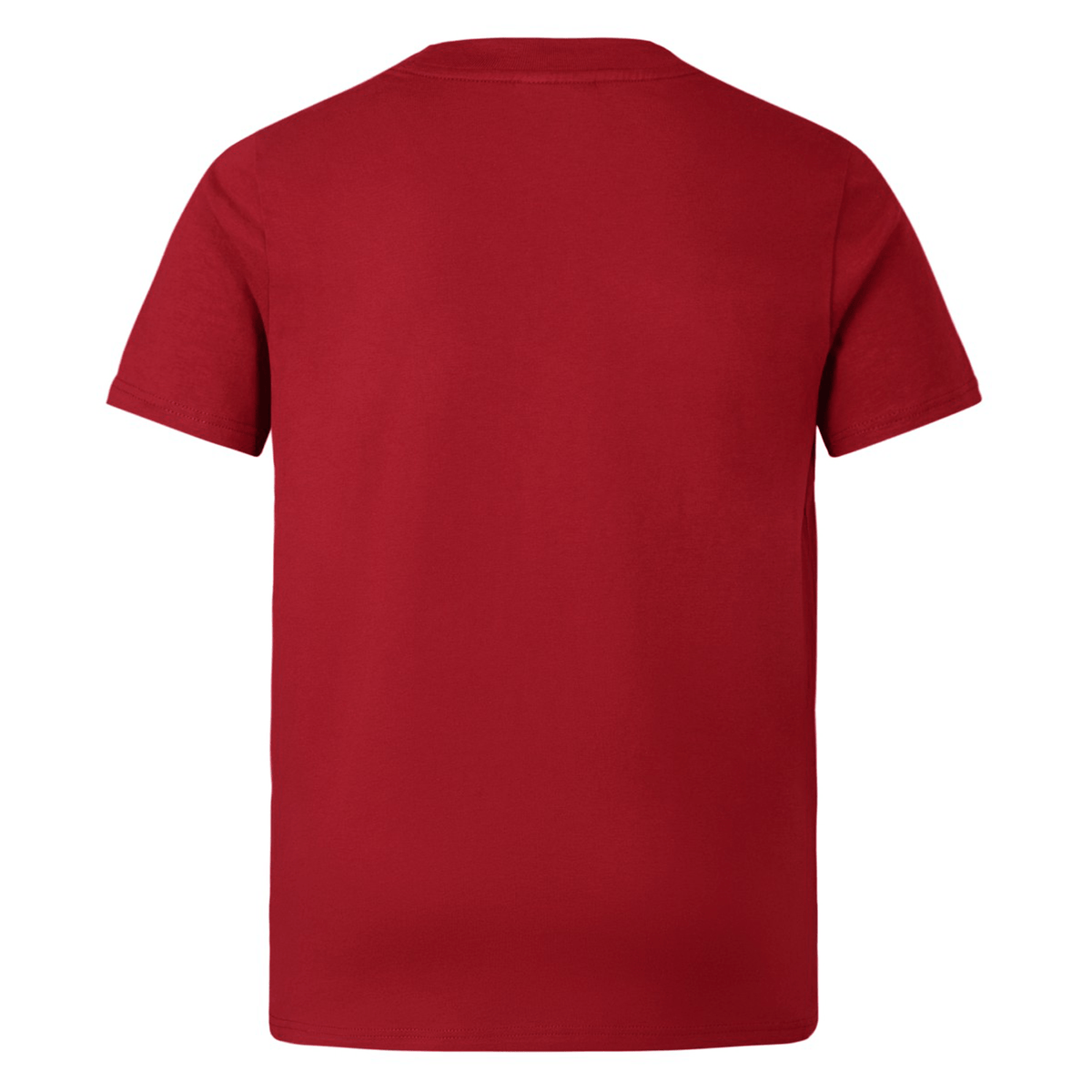 The Youth British &amp; Irish Lions 2025 Cotton Jersey Tee by Canterbury, ideal for rugby supporters, shown from the back.
