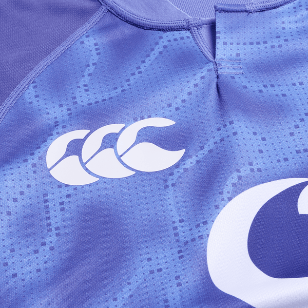 Ireland 25/26 Six Nations Pro Training Jersey by Canterbury / World ...