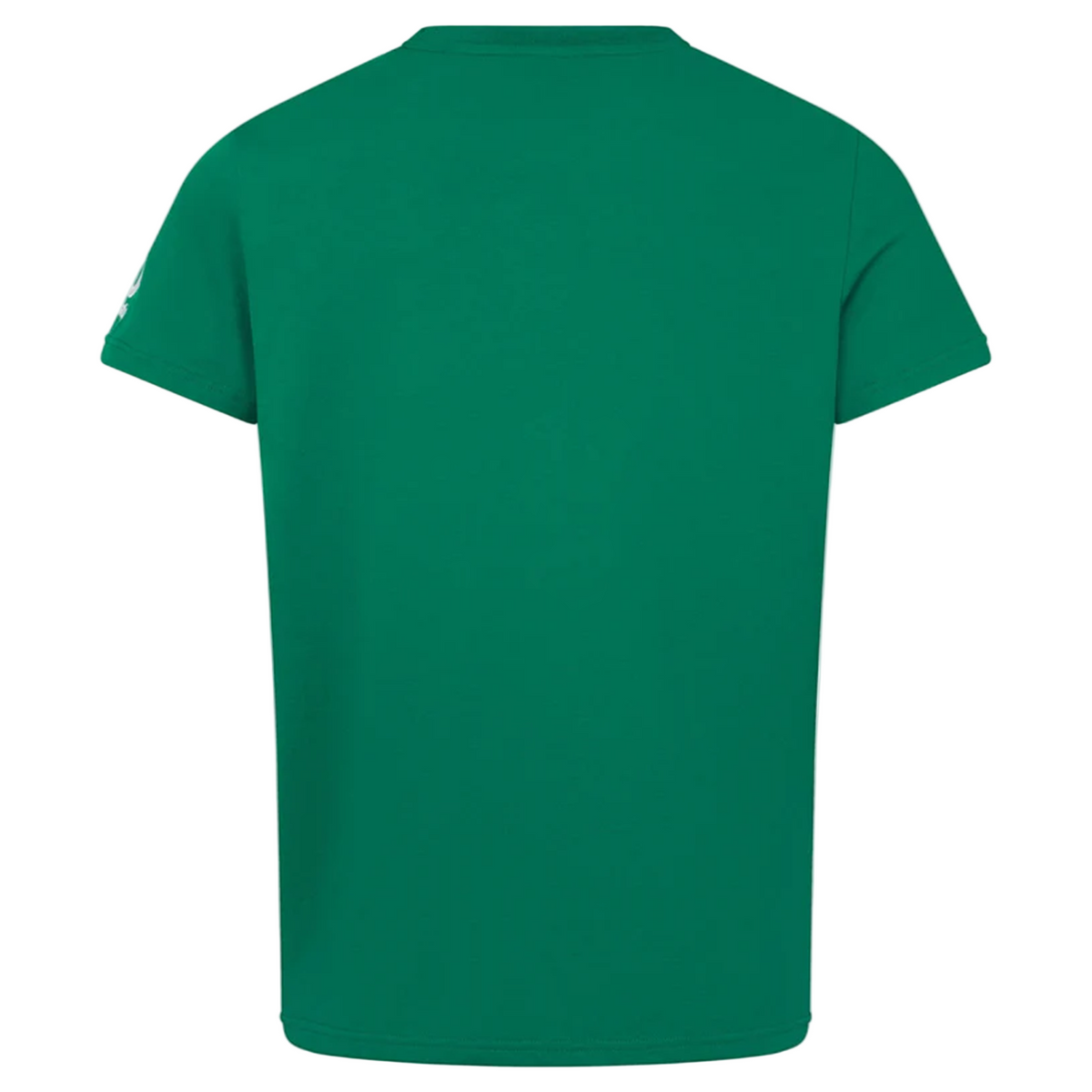 The Ireland 25/26 Team Cotton Tee by Canterbury is shown from the back against a white background with a gray border.