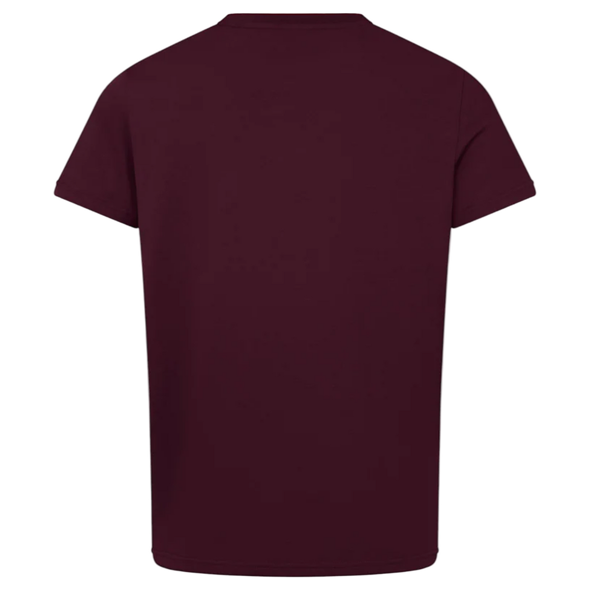 The Ireland 25/26 Team Cotton Tee by Canterbury, in plain maroon with short sleeves, is shown from the back against a white background bordered in gray.