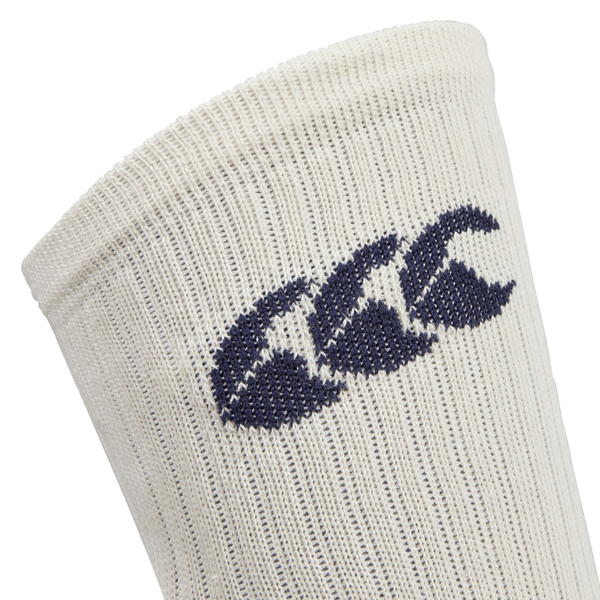 British & Irish Lions 25 Crew Training Socks by Canterbury / World ...